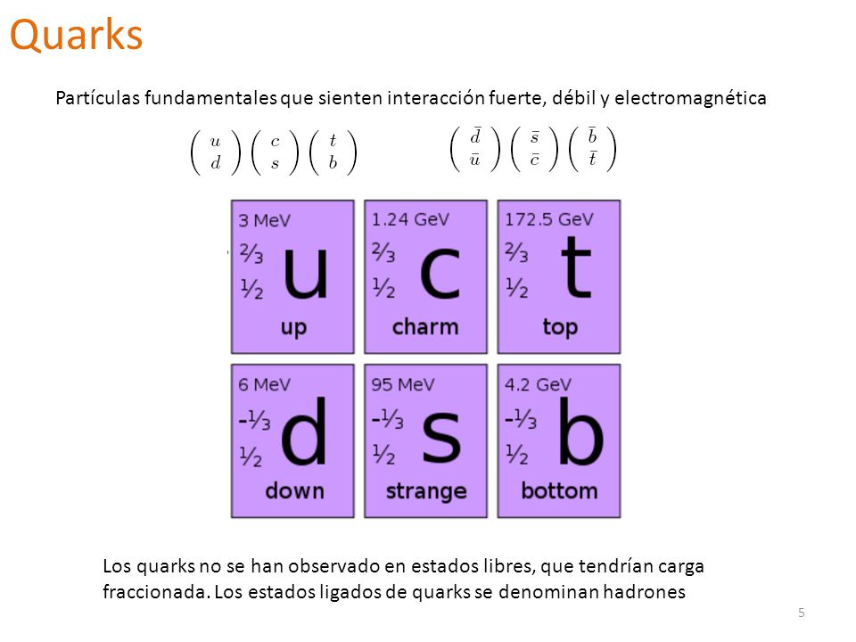 Quarks Partículas fundamentales que sienten interacción fuerte, débil y electromagnética.