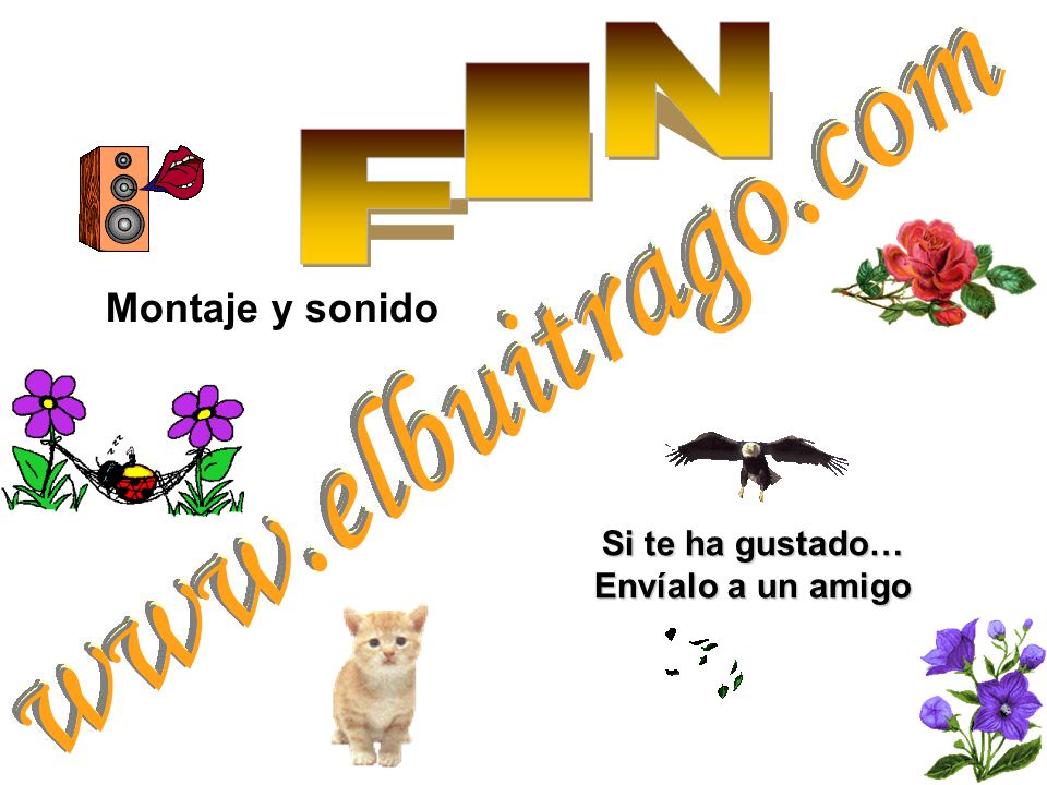 N I F Montaje y sonido Si te ha gustado…