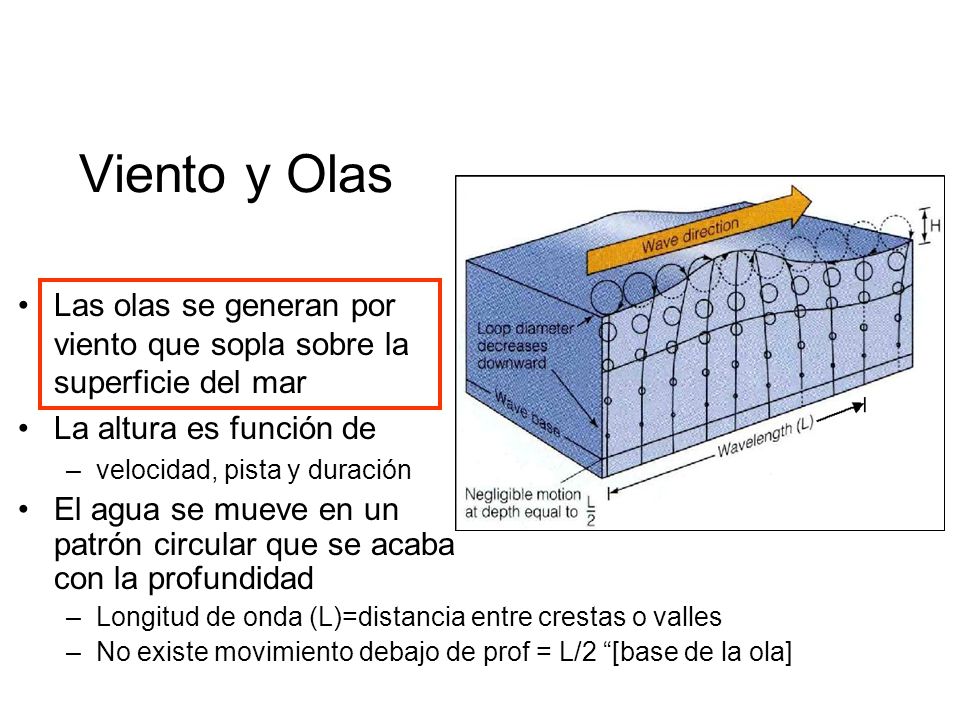Viento y Olas Las olas se generan por viento que sopla sobre la superficie del mar. La altura es función de.