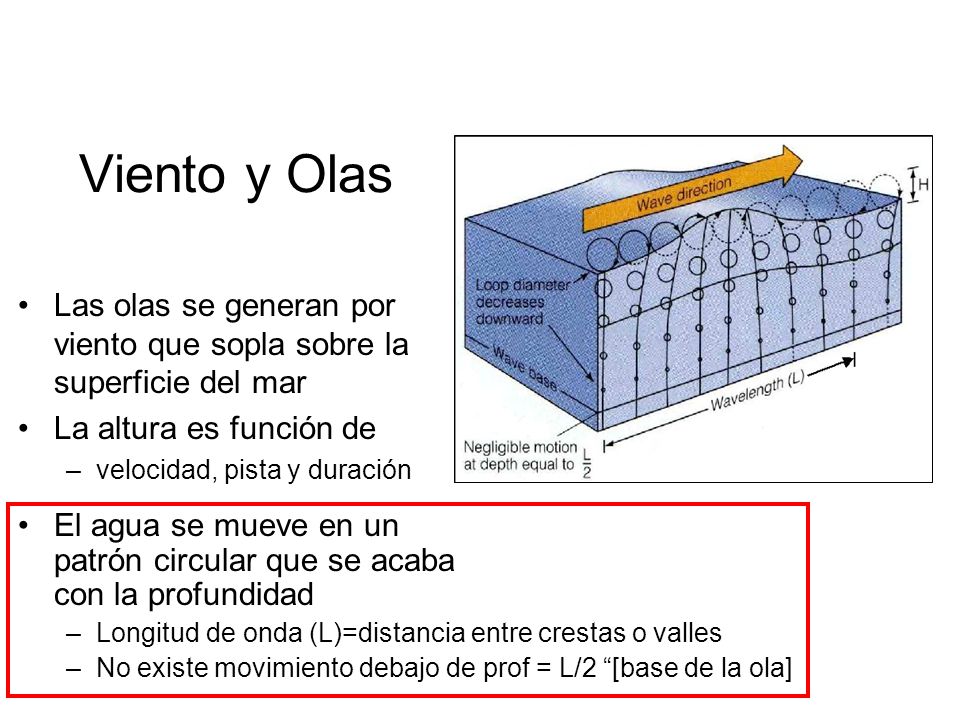 Viento y Olas Las olas se generan por viento que sopla sobre la superficie del mar. La altura es función de.