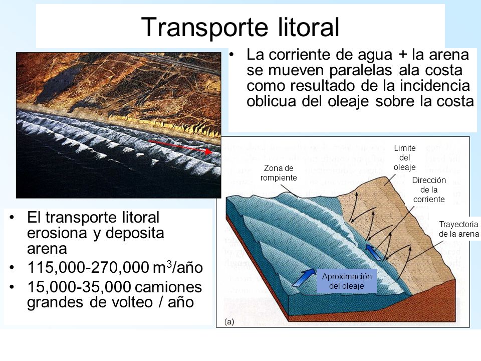 Transporte litoral La corriente de agua + la arena se mueven paralelas ala costa como resultado de la incidencia oblicua del oleaje sobre la costa.