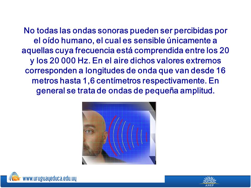 No todas las ondas sonoras pueden ser percibidas por el oído humano, el cual es sensible únicamente a aquellas cuya frecuencia está comprendida entre los 20 y los Hz.