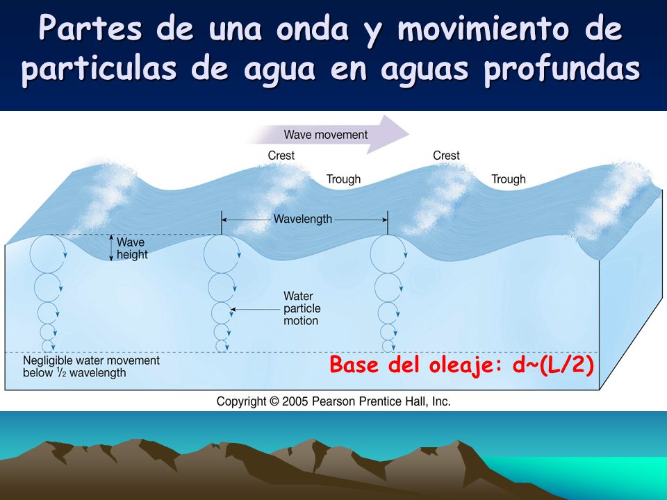 Partes de una onda y movimiento de particulas de agua en aguas profundas