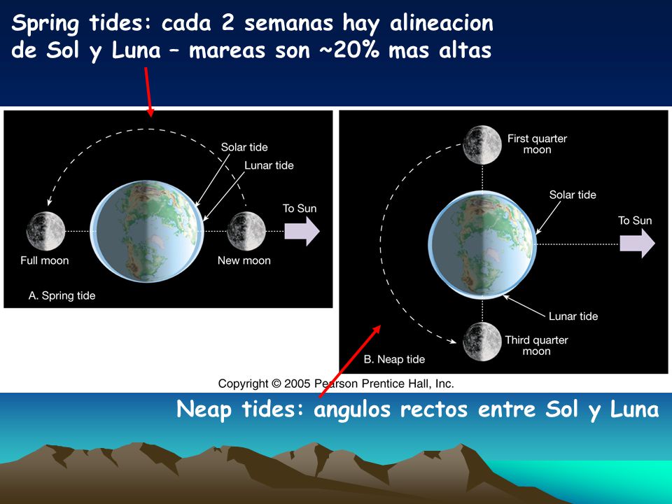 Spring tides: cada 2 semanas hay alineacion de Sol y Luna – mareas son ~20% mas altas
