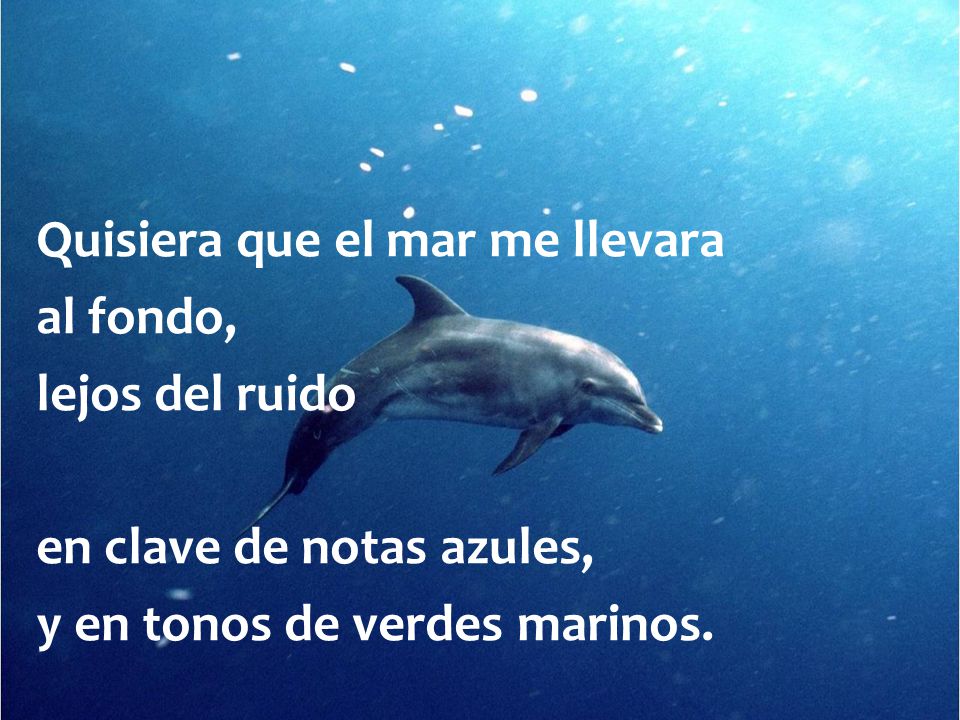 Quisiera que el mar me llevara al fondo, lejos del ruido en clave de notas azules, y en tonos de verdes marinos.