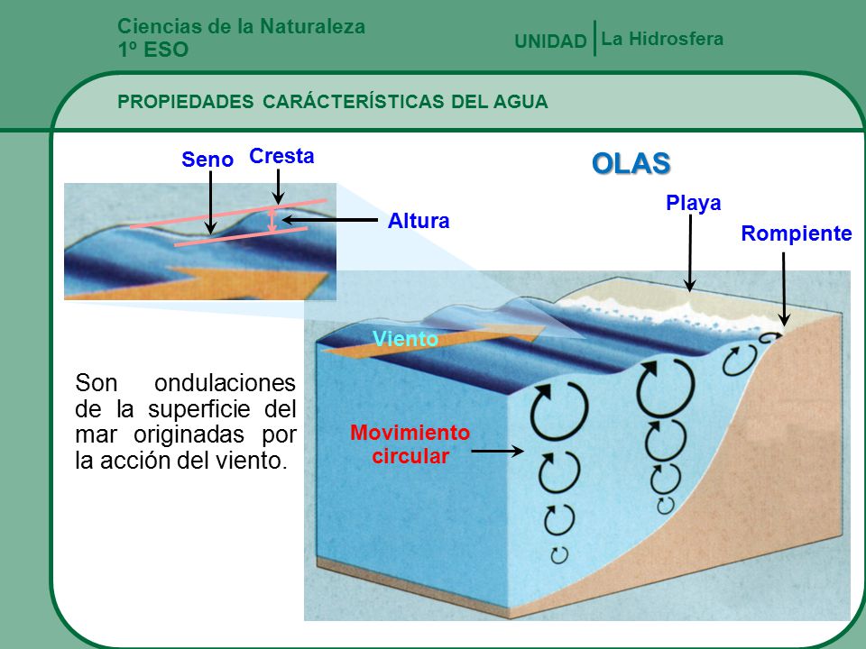 Ciencias de la Naturaleza