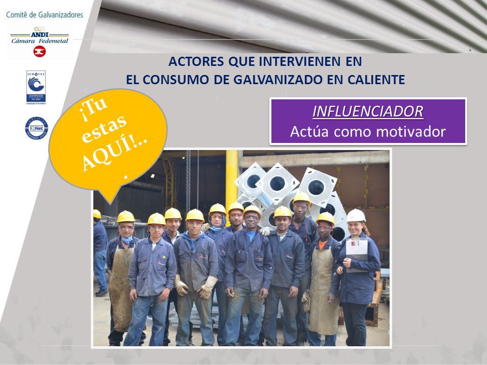 ACTORES QUE INTERVIENEN EN EL CONSUMO DE GALVANIZADO EN CALIENTE