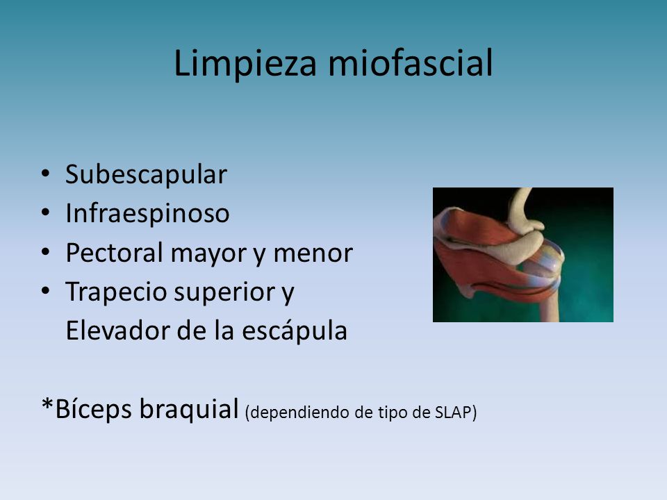 Limpieza miofascial Subescapular Infraespinoso Pectoral mayor y menor