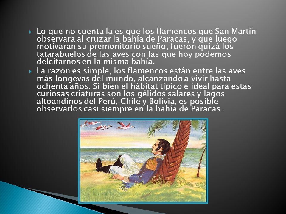 Lo que no cuenta la es que los flamencos que San Martín observara al cruzar la bahía de Paracas, y que luego motivaran su premonitorio sueño, fueron quizá los tatarabuelos de las aves con las que hoy podemos deleitarnos en la misma bahía.