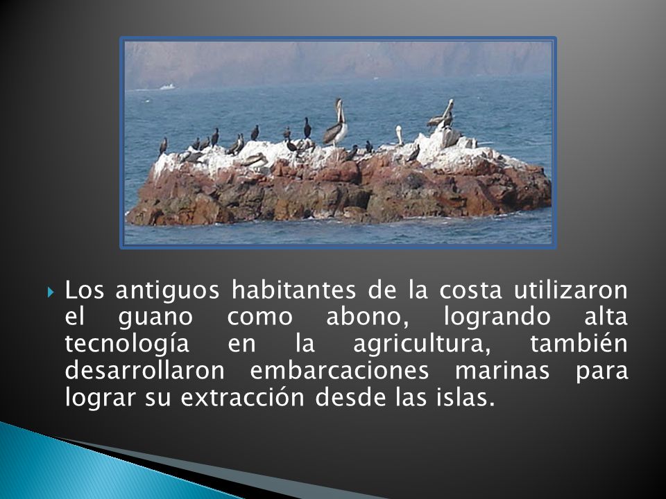 Los antiguos habitantes de la costa utilizaron el guano como abono, logrando alta tecnología en la agricultura, también desarrollaron embarcaciones marinas para lograr su extracción desde las islas.