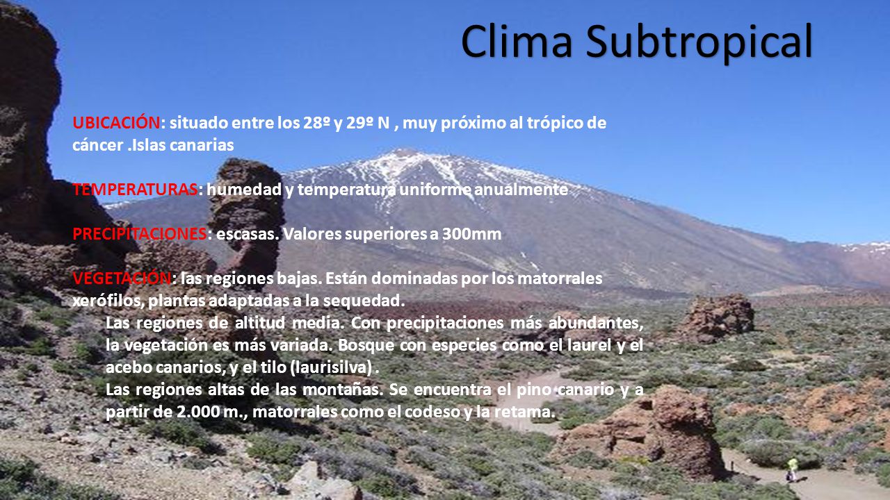 Clima Subtropical UBICACIÓN: situado entre los 28º y 29º N , muy próximo al trópico de cáncer .Islas canarias.