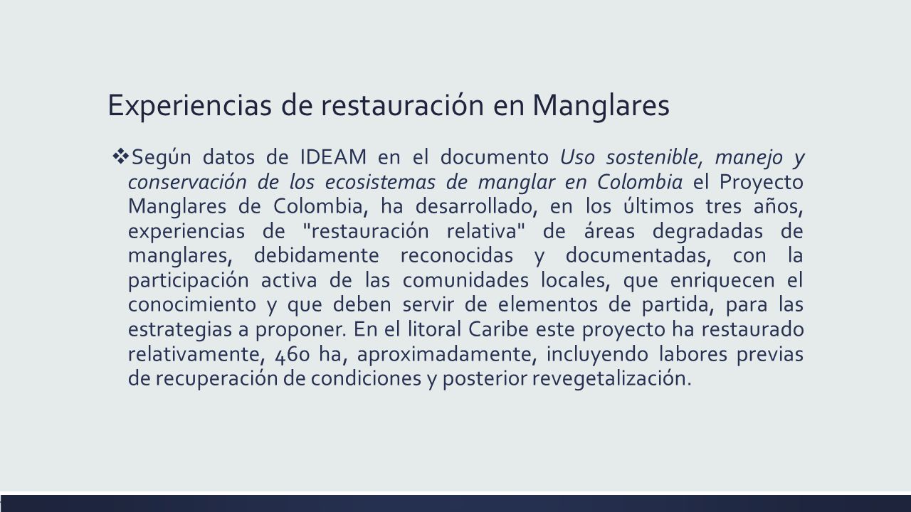 Experiencias de restauración en Manglares