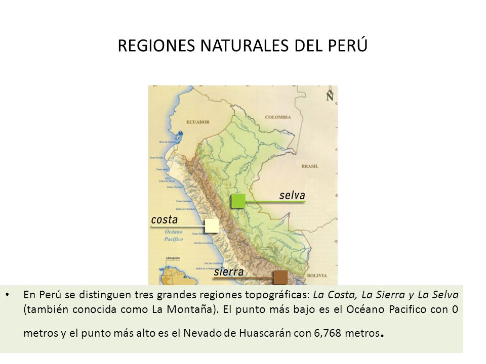 REGIONES NATURALES DEL PERÚ