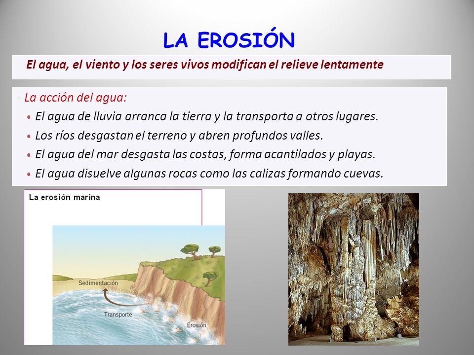 LA EROSIÓN El agua, el viento y los seres vivos modifican el relieve lentamente. La acción del agua:
