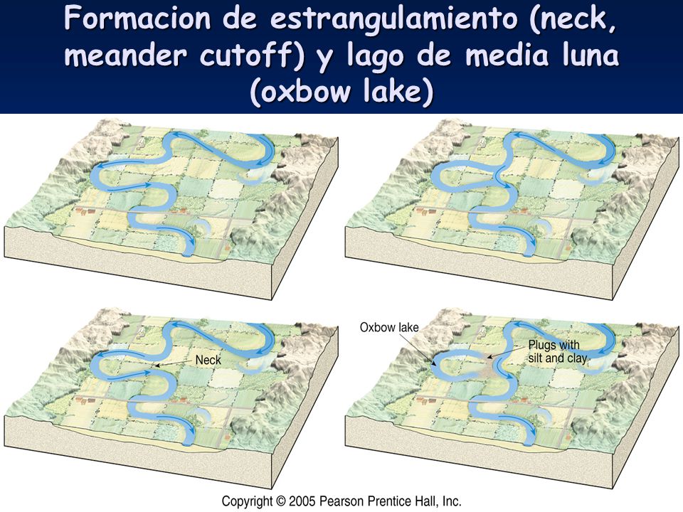 Formacion de estrangulamiento (neck, meander cutoff) y lago de media luna (oxbow lake)