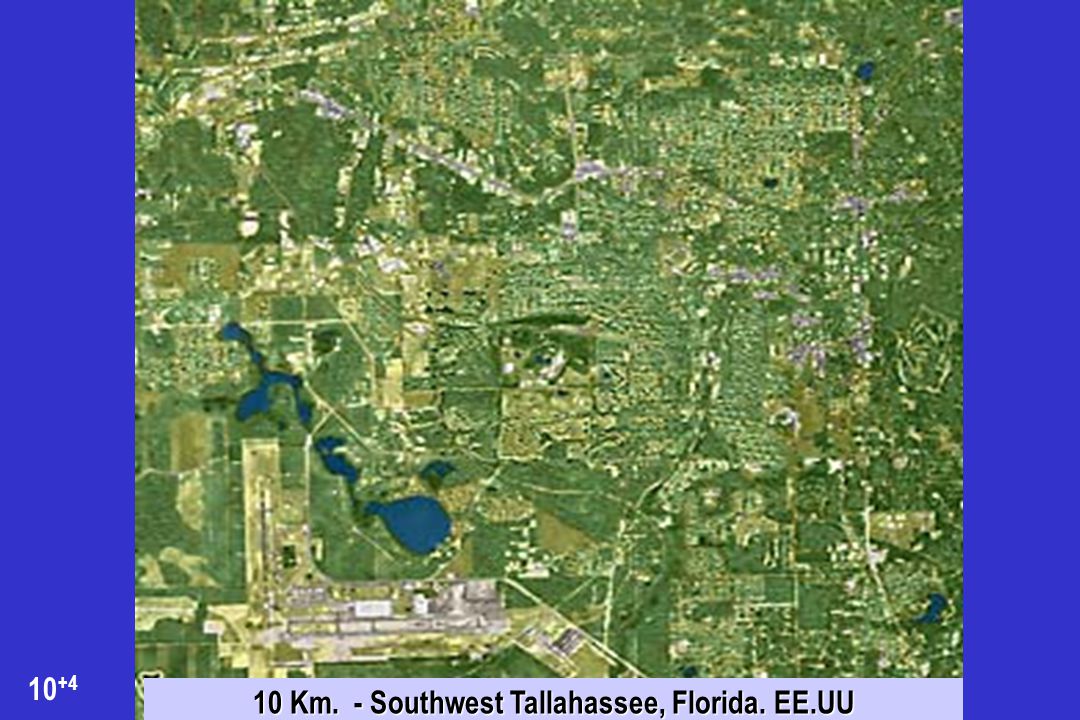 10 Km. - Southwest Tallahassee, Florida. EE.UU