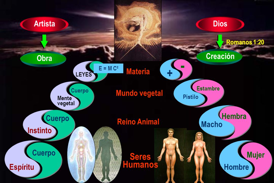 - + Seres Humanos Artista Dios Creación Obra Materia Mundo vegetal