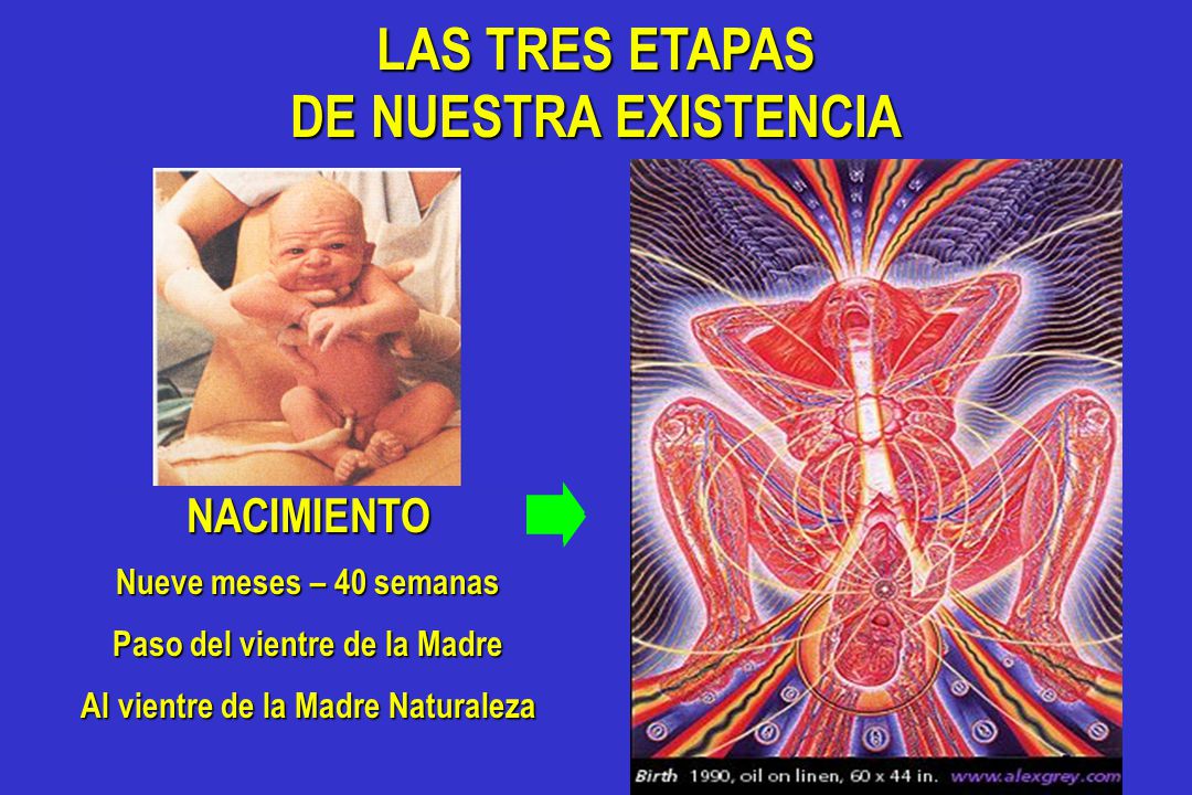 Paso del vientre de la Madre Al vientre de la Madre Naturaleza