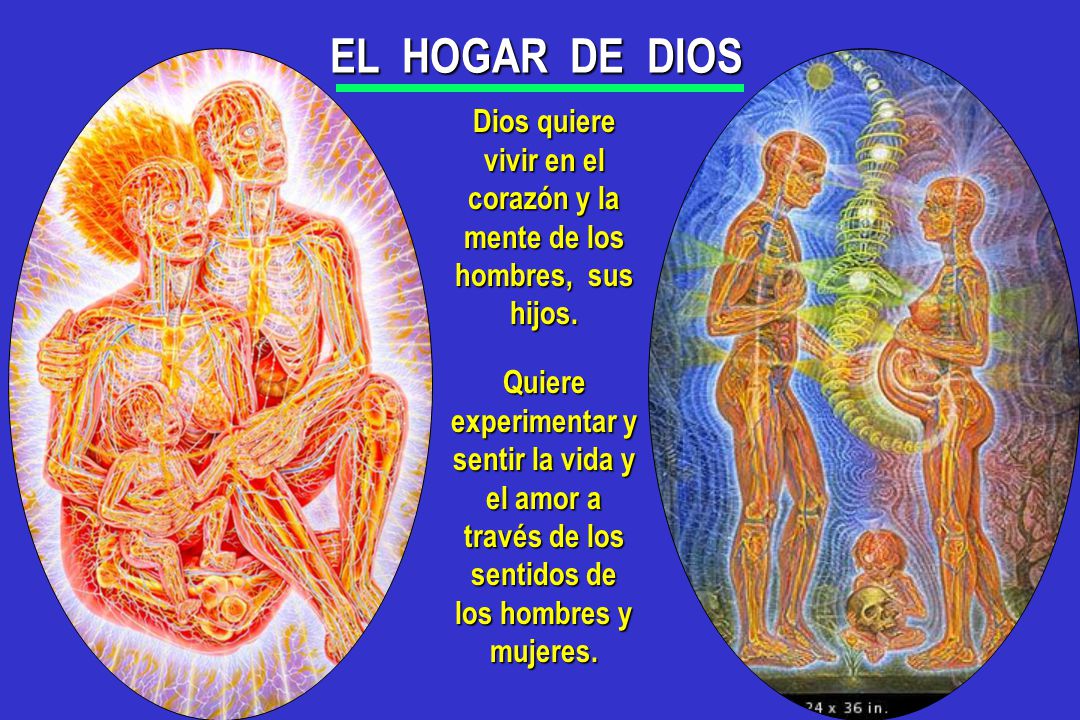 Dios quiere vivir en el corazón y la mente de los hombres, sus hijos.