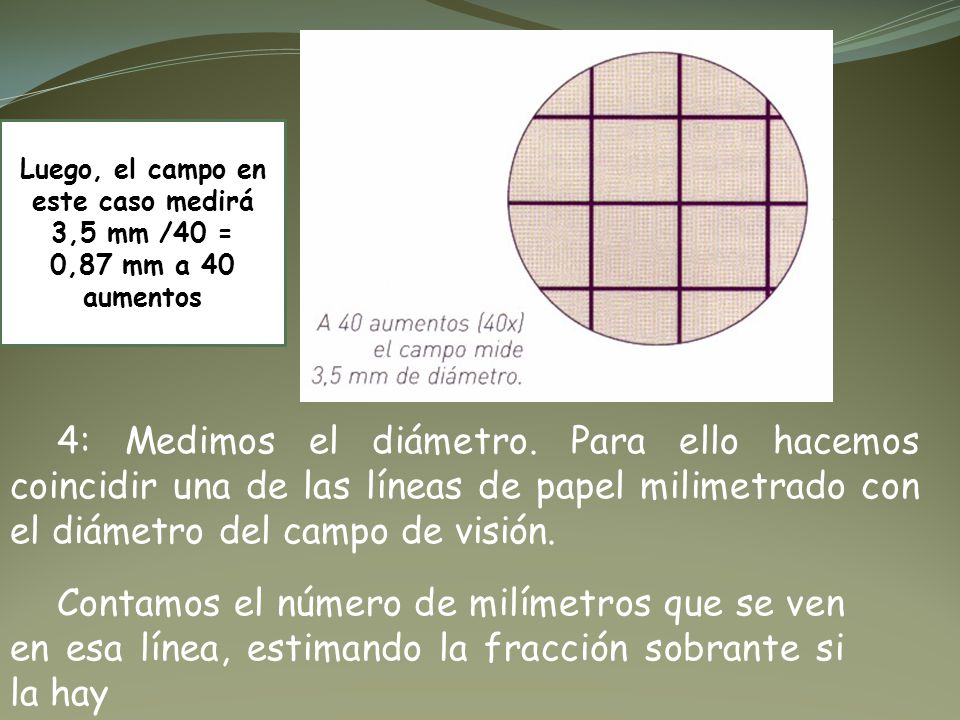 Luego, el campo en este caso medirá 3,5 mm /40 =