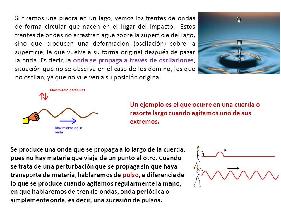 Si tiramos una piedra en un lago, vemos los frentes de ondas de forma circular que nacen en el lugar del impacto. Estos frentes de ondas no arrastran agua sobre la superficie del lago, sino que producen una deformación (oscilación) sobre la superficie, la que vuelve a su forma original después de pasar la onda. Es decir, la onda se propaga a través de oscilaciones, situación que no se observa en el caso de los dominó, los que no oscilan, ya que no vuelven a su posición original.