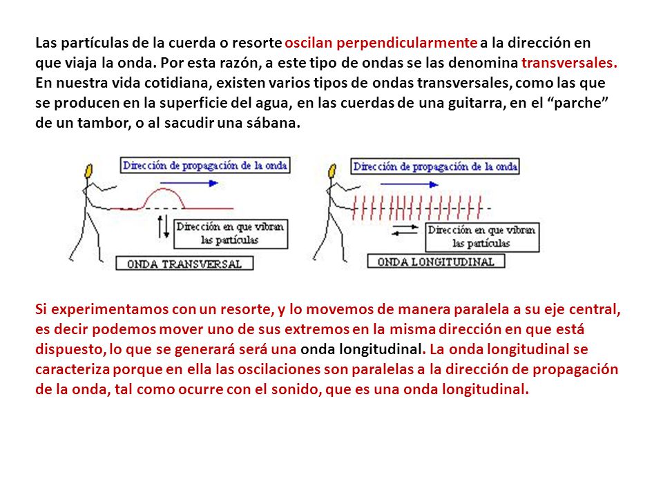 Las partículas de la cuerda o resorte oscilan perpendicularmente a la dirección en que viaja la onda. Por esta razón, a este tipo de ondas se las denomina transversales. En nuestra vida cotidiana, existen varios tipos de ondas transversales, como las que se producen en la superficie del agua, en las cuerdas de una guitarra, en el parche de un tambor, o al sacudir una sábana.