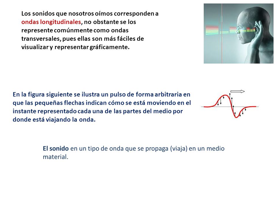 Los sonidos que nosotros oímos corresponden a ondas longitudinales, no obstante se los represente comúnmente como ondas transversales, pues ellas son más fáciles de visualizar y representar gráficamente.