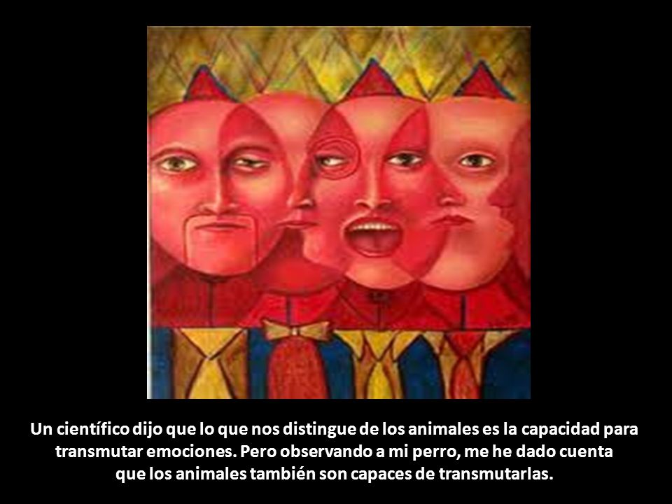 Un científico dijo que lo que nos distingue de los animales es la capacidad para transmutar emociones.