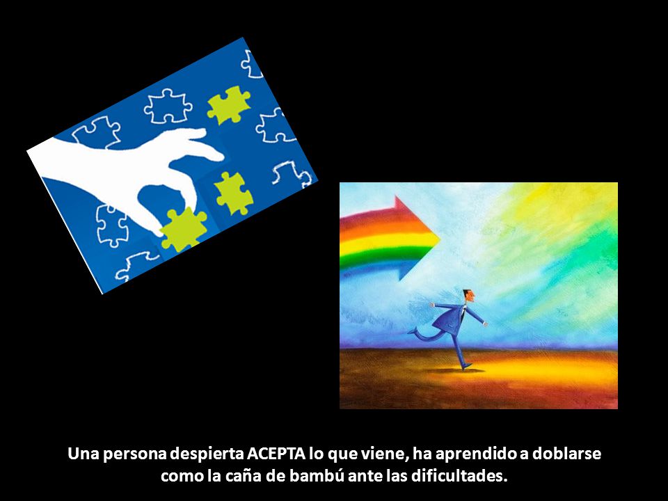 Una persona despierta ACEPTA lo que viene, ha aprendido a doblarse como la caña de bambú ante las dificultades.