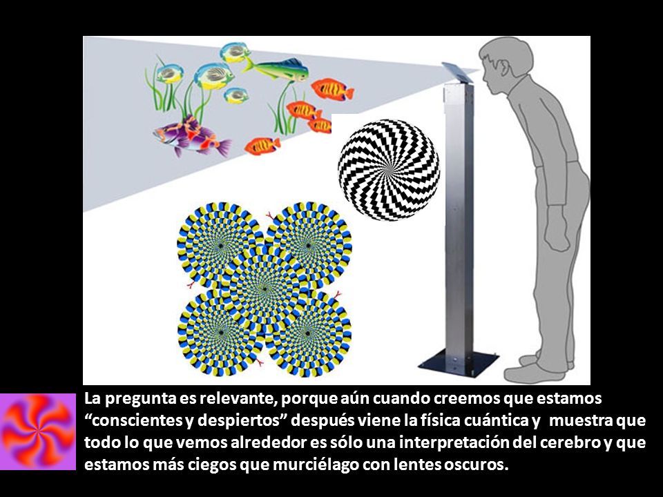 La pregunta es relevante, porque aún cuando creemos que estamos conscientes y despiertos después viene la física cuántica y muestra que todo lo que vemos alrededor es sólo una interpretación del cerebro y que estamos más ciegos que murciélago con lentes oscuros.