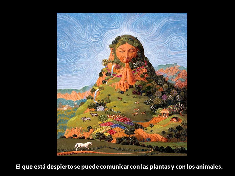 El que está despierto se puede comunicar con las plantas y con los animales.