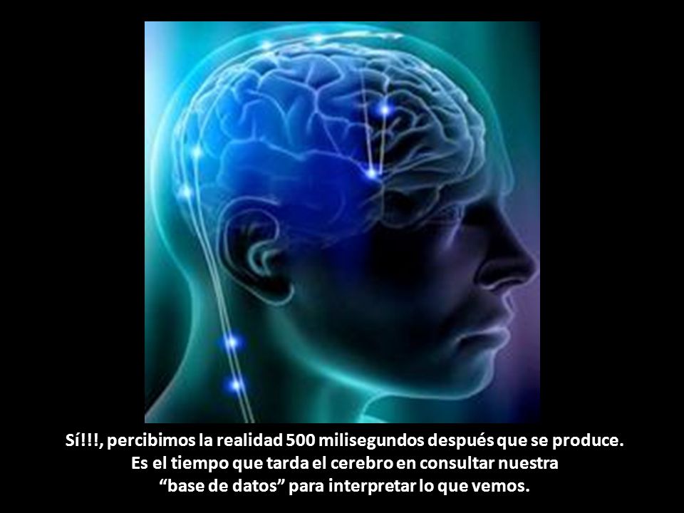 Sí. , percibimos la realidad 500 milisegundos después que se produce