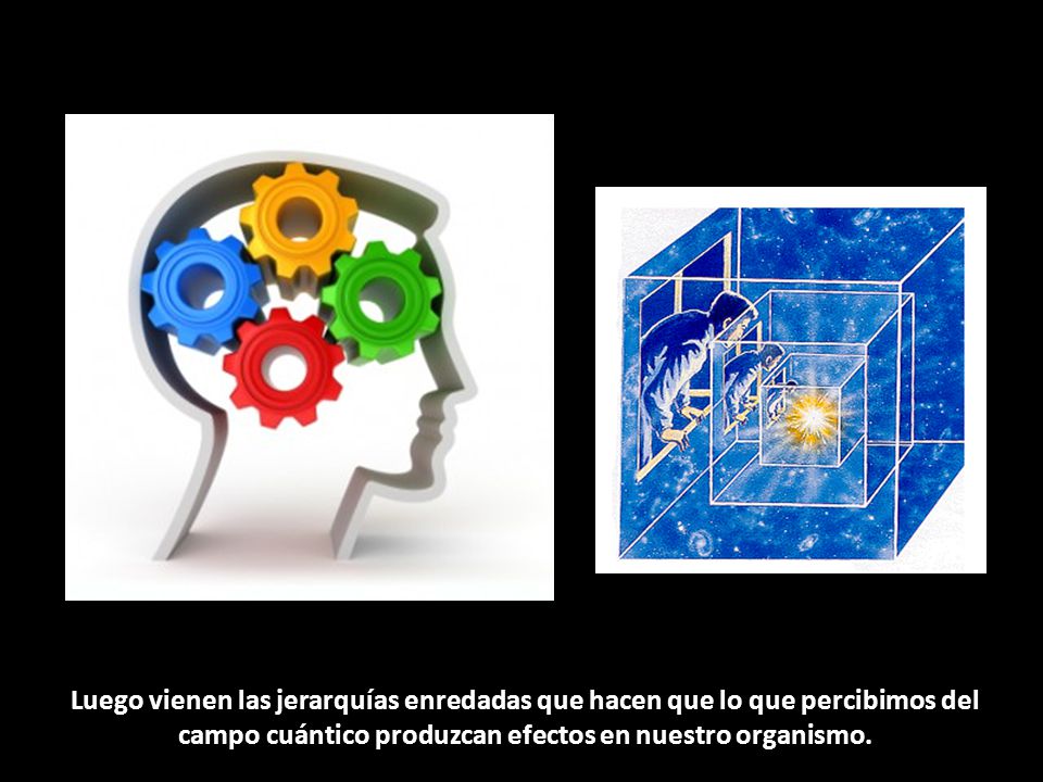 Luego vienen las jerarquías enredadas que hacen que lo que percibimos del campo cuántico produzcan efectos en nuestro organismo.