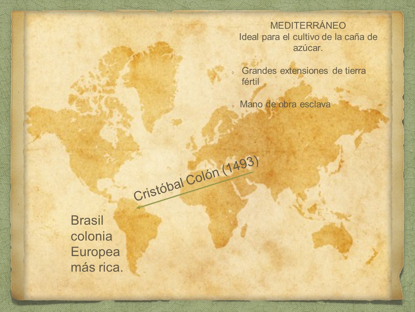 MEDITERRÁNEO Ideal para el cultivo de la caña de azúcar.