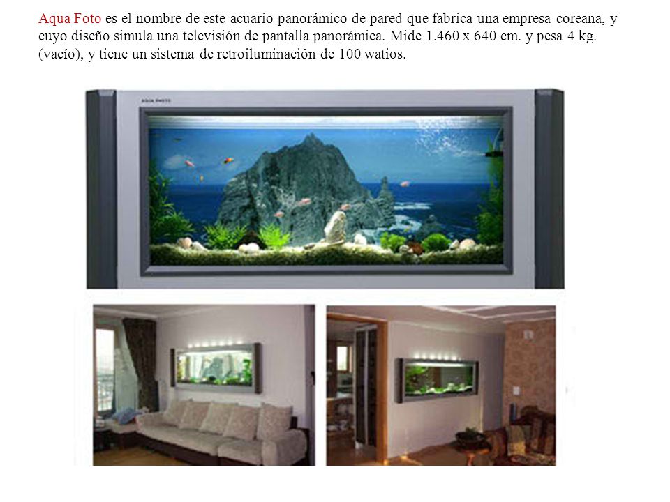 Aqua Foto es el nombre de este acuario panorámico de pared que fabrica una empresa coreana, y cuyo diseño simula una televisión de pantalla panorámica.