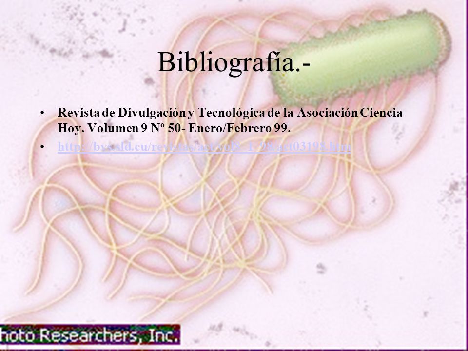 Bibliografía.- Revista de Divulgación y Tecnológica de la Asociación Ciencia Hoy. Volumen 9 Nº 50- Enero/Febrero 99.
