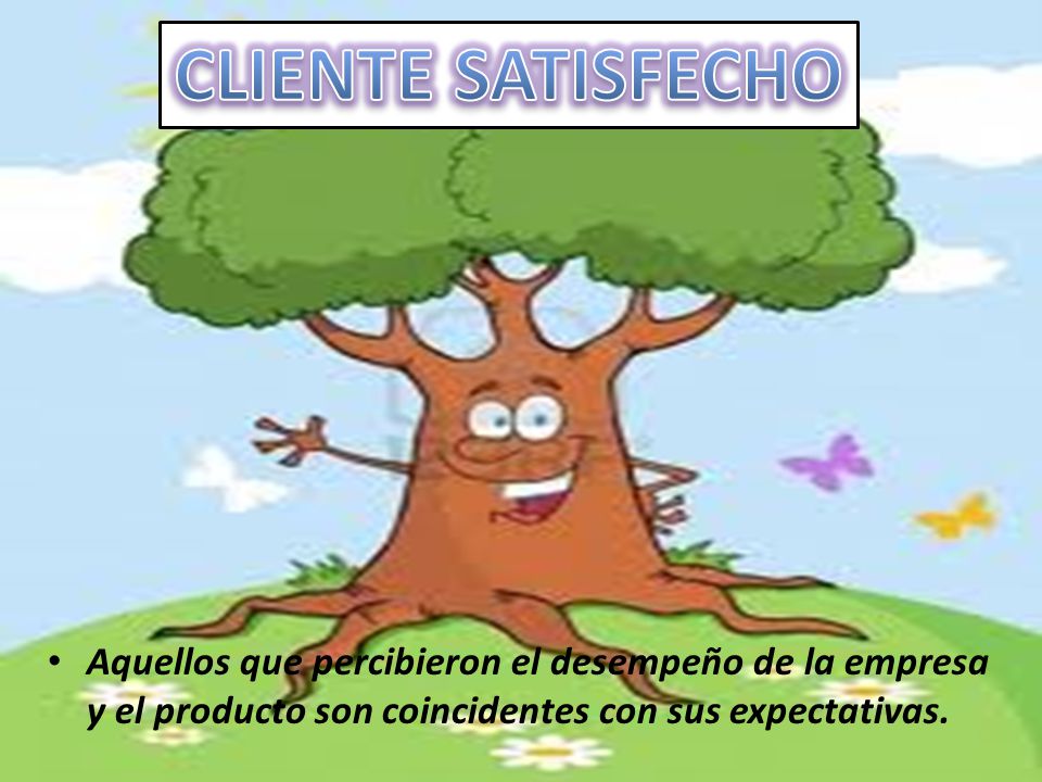 CLIENTE SATISFECHO Aquellos que percibieron el desempeño de la empresa y el producto son coincidentes con sus expectativas.