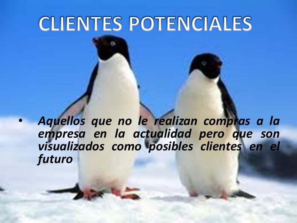 CLIENTES POTENCIALES Aquellos que no le realizan compras a la empresa en la actualidad pero que son visualizados como posibles clientes en el futuro.