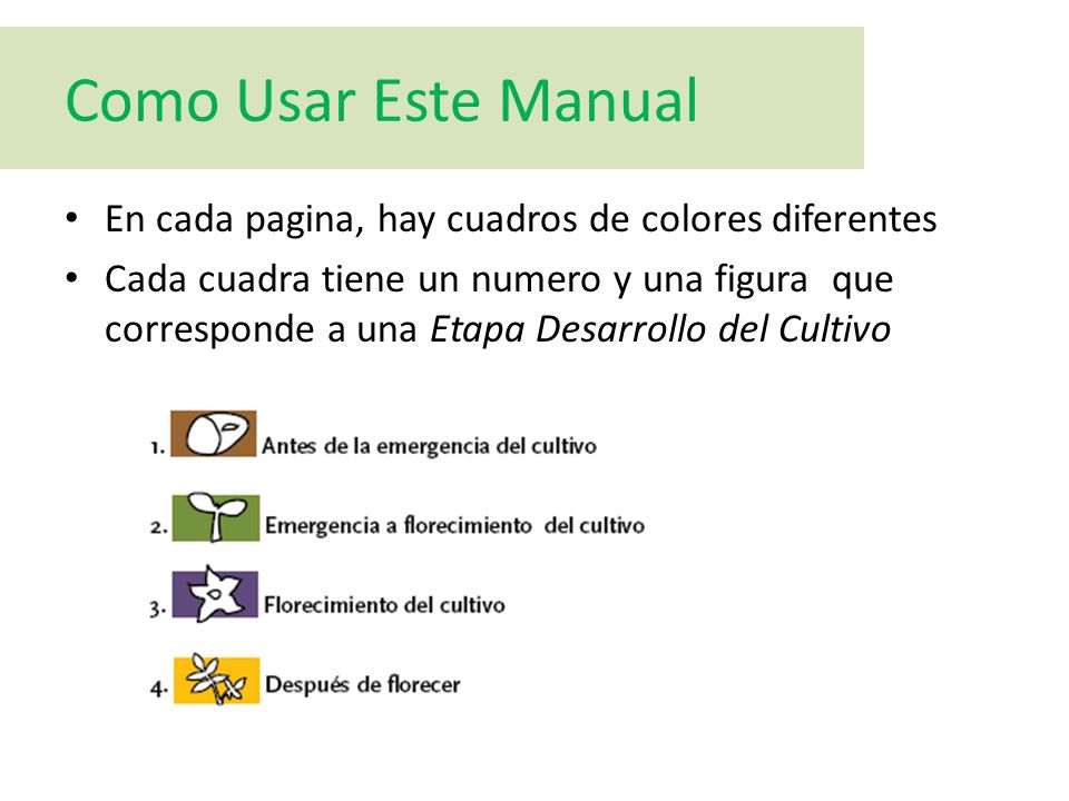 Como Usar Este Manual En cada pagina, hay cuadros de colores diferentes.