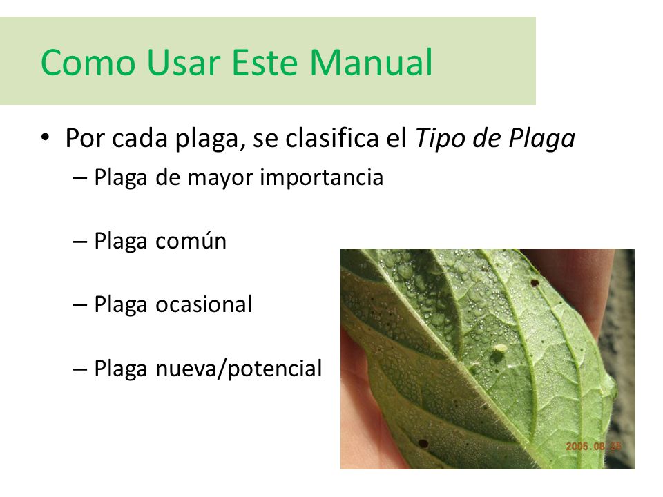 Como Usar Este Manual Por cada plaga, se clasifica el Tipo de Plaga