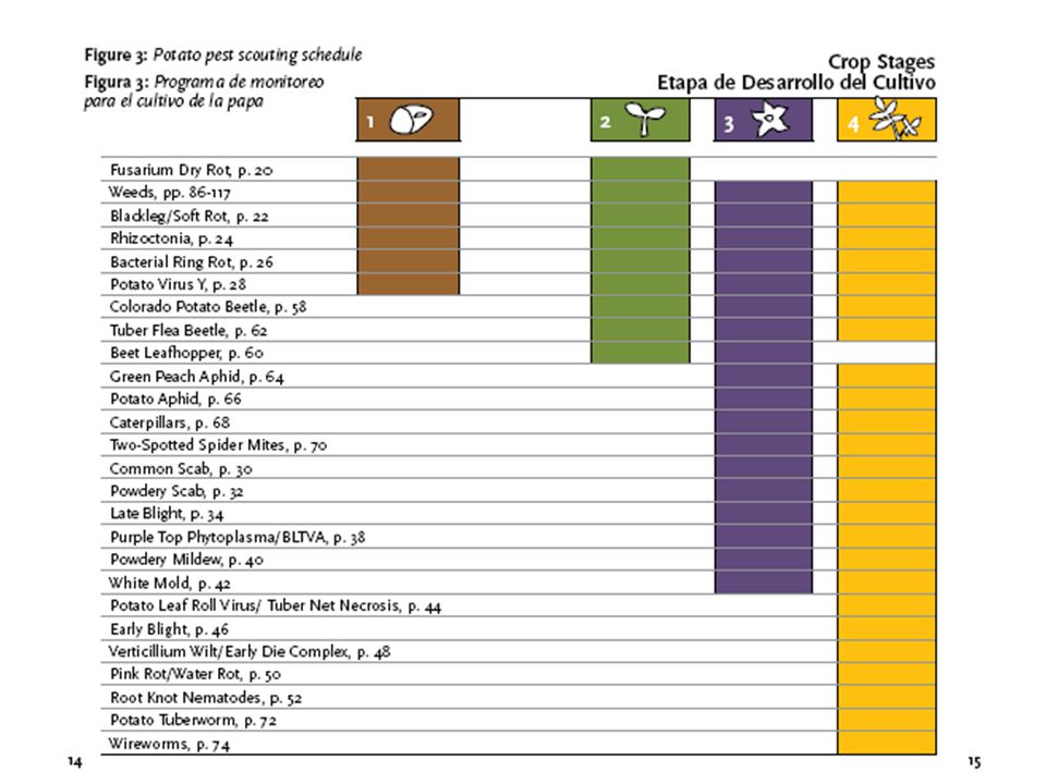 Potato pest scouting schedule for all the pests in the Manual.