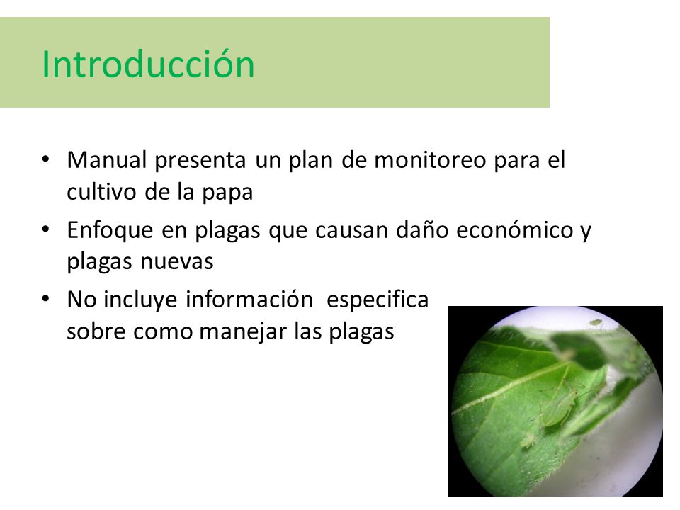 Introducción Manual presenta un plan de monitoreo para el cultivo de la papa. Enfoque en plagas que causan daño económico y plagas nuevas.