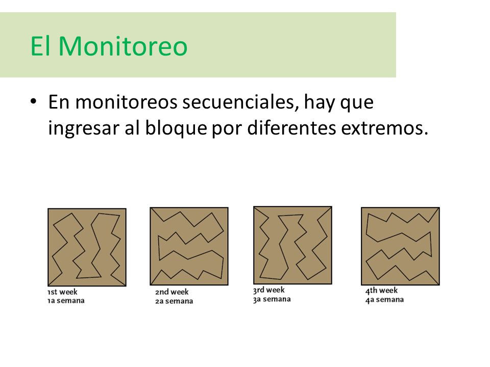 El Monitoreo En monitoreos secuenciales, hay que ingresar al bloque por diferentes extremos.