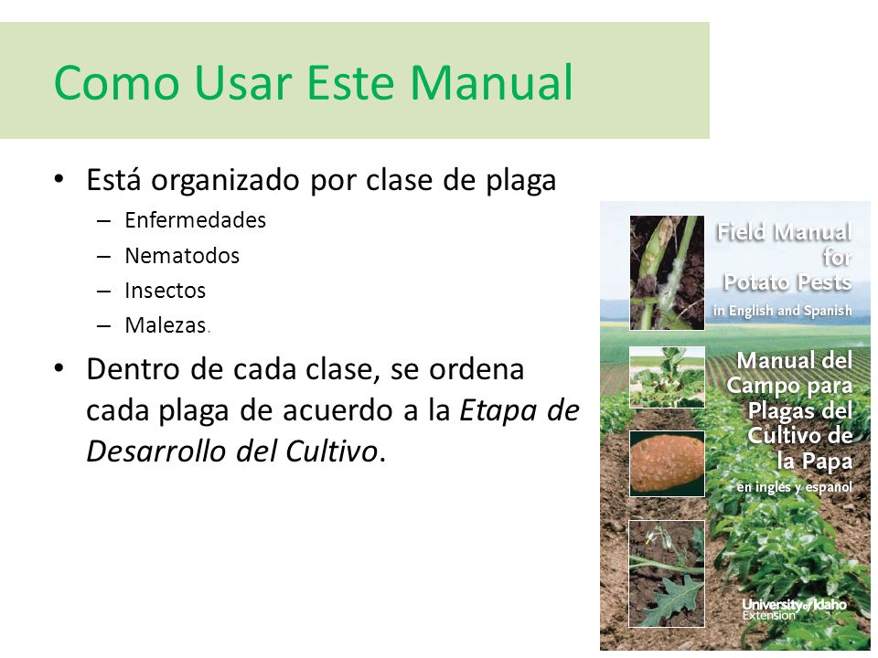 Como Usar Este Manual Está organizado por clase de plaga