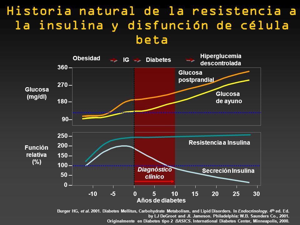 Historia natural de la resistencia a la insulina y disfunción de célula beta