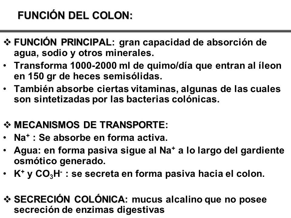 FUNCIÓN DEL COLON: FUNCIÓN PRINCIPAL: gran capacidad de absorción de agua, sodio y otros minerales.