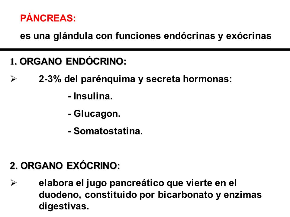 PÁNCREAS: es una glándula con funciones endócrinas y exócrinas. 1. ORGANO ENDÓCRINO: 2-3% del parénquima y secreta hormonas: