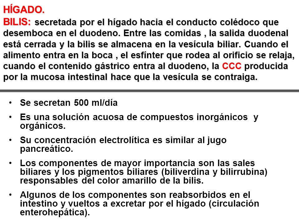 HÍGADO. BILIS: secretada por el hígado hacia el conducto colédoco que desemboca en el duodeno. Entre las comidas , la salida duodenal está cerrada y la bilis se almacena en la vesícula biliar. Cuando el alimento entra en la boca , el esfínter que rodea al orificio se relaja, cuando el contenido gástrico entra al duodeno, la CCC producida por la mucosa intestinal hace que la vesícula se contraiga.