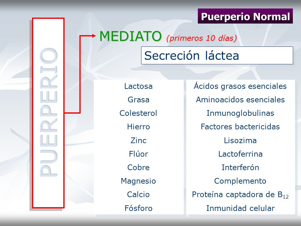 PUERPERIO MEDIATO (primeros 10 días) Secreción láctea Puerperio Normal