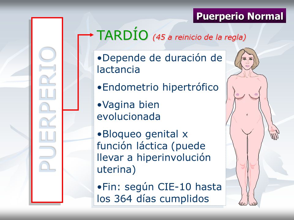 PUERPERIO TARDÍO (45 a reinicio de la regla) Puerperio Normal